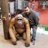 timbo_dozer1